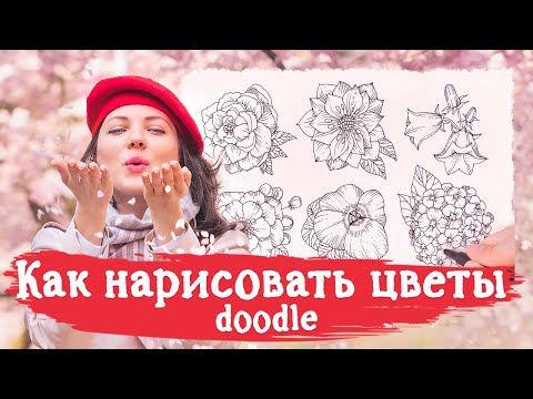 Видео: Как нарисовать цветы Doodle. 6 цветов черным лайнером для начинающих/ Line Art