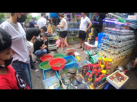 Видео: Исследование самого красивого уличного рыбного рынка - Тур по уличному рыбному рынку