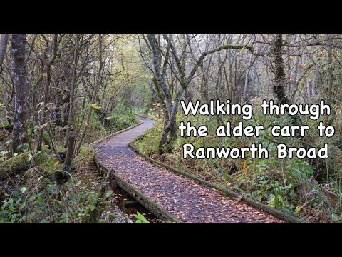 Видео: Прогулка через Олдер-Карр к Ранворт-Брод
