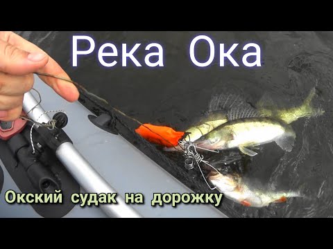 Видео: РЫБАЛКА на Оке,ТРОЛЛИНГ судака,тестим новый комплект KITT BOATS 330 НДНД