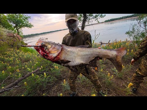 Видео: ТРОФЕЙ ТОЛСТОЛОБ САДАҚПЕН ҰСТАЛДЫ !!!