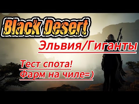 Видео: Тест спота ЭЛЬВИЯ/ГИГАНТЫ( честный фарм) Black Desert