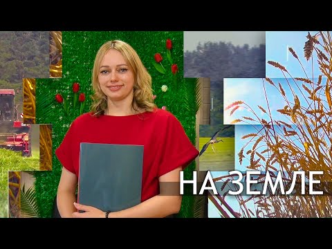 Видео: На земле - Владелица бьюти студии «Мечты сбываются» Елена Сенько