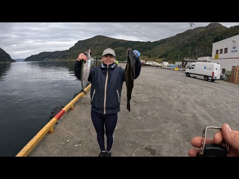 Видео: Прилив или отлив, не понятно.  Без нытья и рыбалка не та.