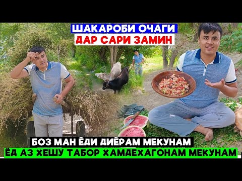 Видео: Як Рузи Рахим Продакшн Дар Дехот