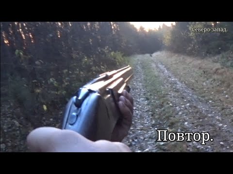 Видео: ОХОТА НА ЗАЙЦА С РУССКОЙ ГОНЕЙ  19.10.2024 Первый заяц этого сезона.