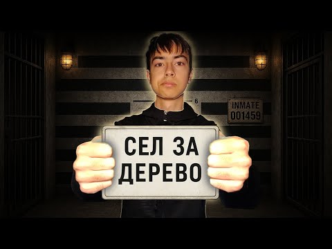 Видео: Гениальный способ заработать, о нем НИКТО не знает