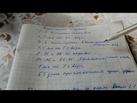 Видео: Пропойка для бройлерных индюшат. Чем кормить индюшат.