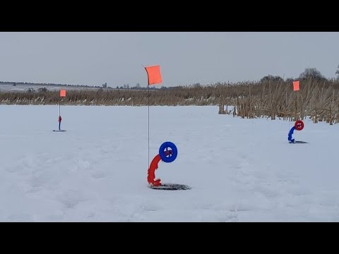 Видео: РАЗДАЧА ЩУКИ ПРОДОЛЖАЕТСЯ!!!! Бешенный клев на жерлицы. Рыбалка 2023