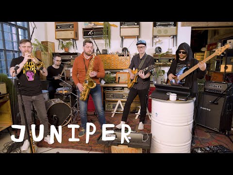 Видео: Juniper: Цех live
