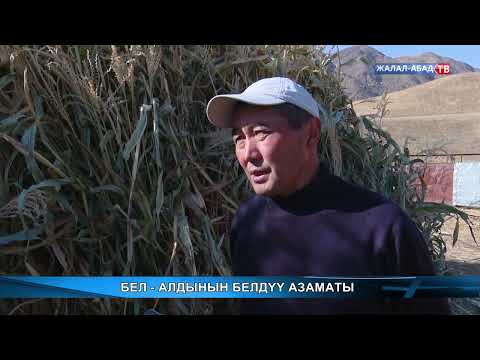 Видео: Элет турмушу: Бел - алдында белдүү азаматы