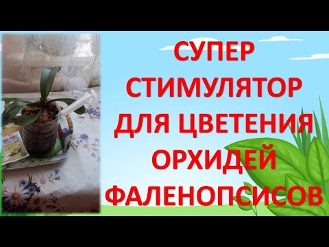 Видео: СУПЕР СТИМУЛЯТОР ДЛЯ ЦВЕТЕНИЯ ОРХИДЕЙ ФАЛЕНОПСИСОВ