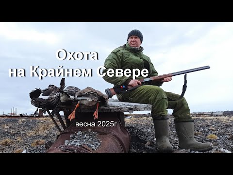 Видео: Охота на Крайнем Севере весна 2025