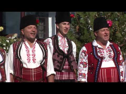 Видео: МФГ от с.Бабук,Силистренска област- Засвирили са дор' три гайди