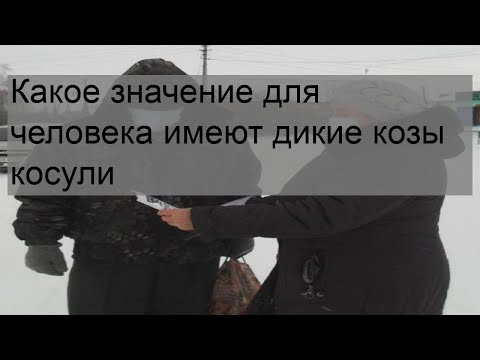 Видео: Какое значение для человека имеют дикие козы косули