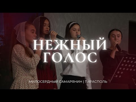 Видео: Нежный голос | Квартет