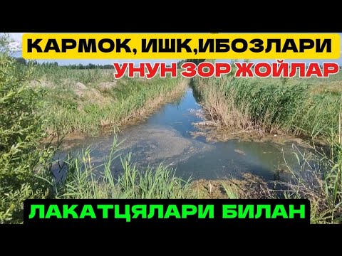 Видео: Балик ови жойларди зорларини курсатдим БУНАКАСИ ХАЛИ БУЛМАГАН 💥 2026