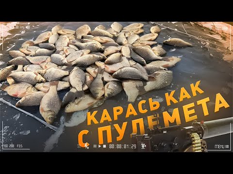 Видео: Рыбалка на КАРАСЯ! Рыбалка С КОМФОРТОМ! Карась прет!#карась #зимняяловлярыбы #карасьзимой