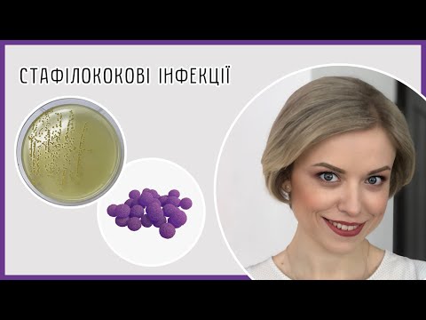 Видео: Стафілококи (Staphylococcus) / Золотистий стафілокок (Staphylococcus aureus)