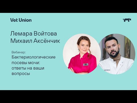 Видео: Бактериологические посевы мочи: ответы на ваши вопросы