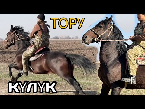 Видео: ТОРУ АРГЫМАК МААРА КЫЛЫП ЖҮРГӨН АТ