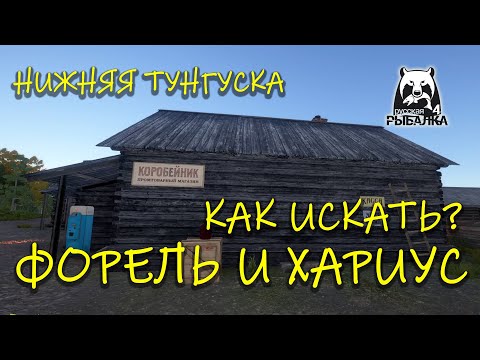 Видео: Русская рыбалка 4 (рр4). Нижняя Тунгуска. Вертушки. Форель ручьевая. Хариус.