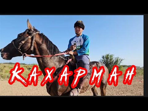 Видео: Кахармандын баласы Кахарман 🔥🔥🔥