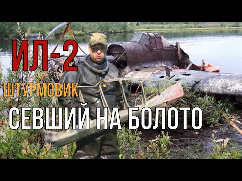 Видео: ИЛ-2, Штурмовик, упавший в болото... Памяти погибшим лётчикам посвящается.