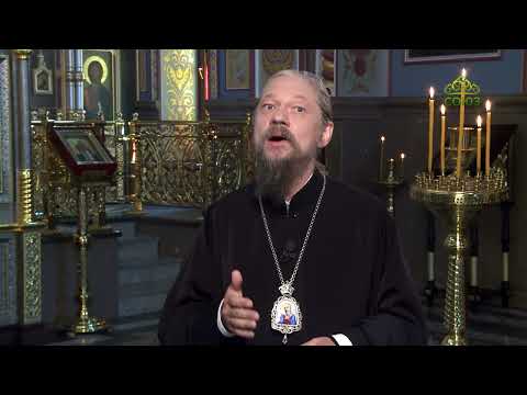 Видео: Воскресные беседы. "Светильник для тела есть око"