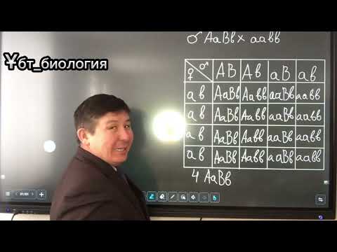 Видео: Дигибридті будандастыру “Белгілердің тәуелсіз ажырау”заңына есептер шығару