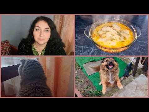 Видео: СТАРАЕМСЯ ЖИТЬ И ДЫШАТЬ.