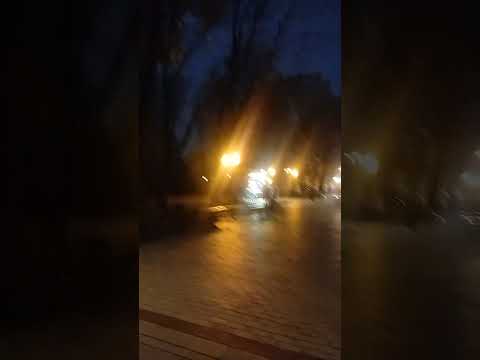 Видео: Парк Шевченко....Киев...6ноября2025...поздняя осень...