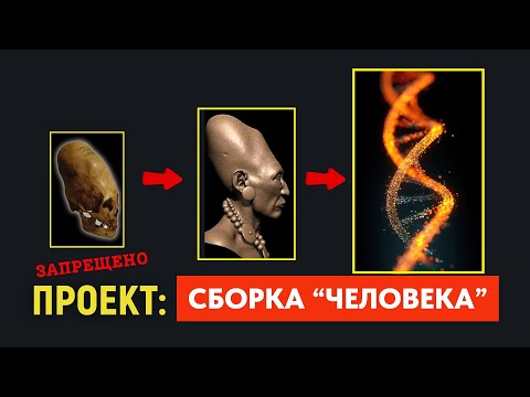 Видео: Проект: Симуляция Человека — Что Скрыли об Истинном Происхождении