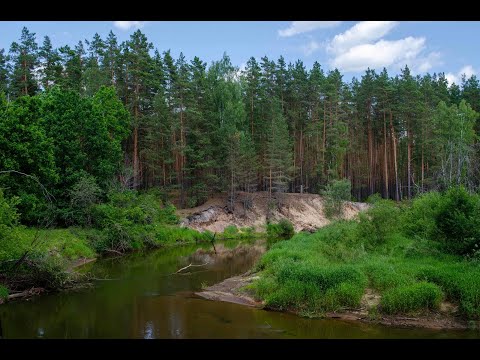 Видео: Сплав по реке Жиздра. Усты - Козельск. Июнь 2023