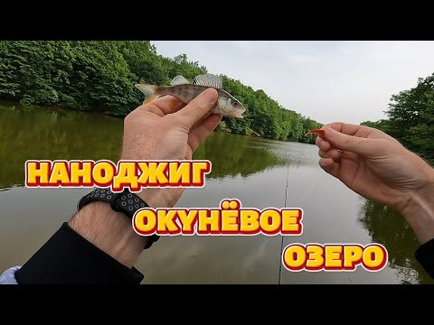 Видео: Наноджиг окунёвое озеро