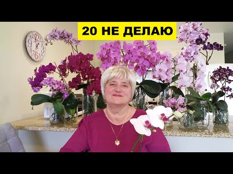 Видео: МОИ "20 НЕ ДЕЛАЮ" С ОРХИДЕЯМИ