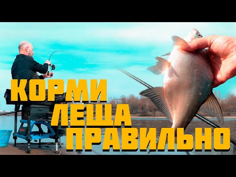 Видео: ВАЖНО! ЭТО ДОЛЖНО БЫТЬ У КАЖДОГО! Ловля леща ранней весной на реке.