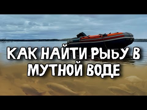 Видео: Опасные глубины: Подводная охота в экстремальных условиях.