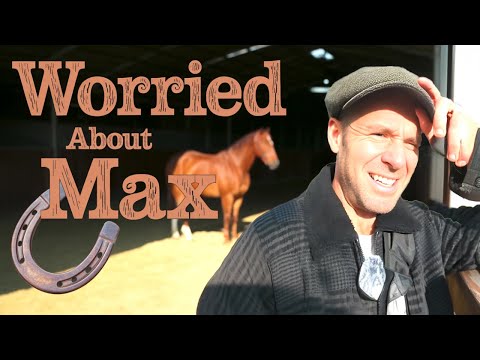 Видео: Эмоциональные американские горки владения скаковой лошадью