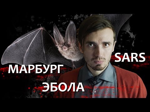 Видео: Повелитель вирусов или Самое опасное животное на свете - [История Медицины]
