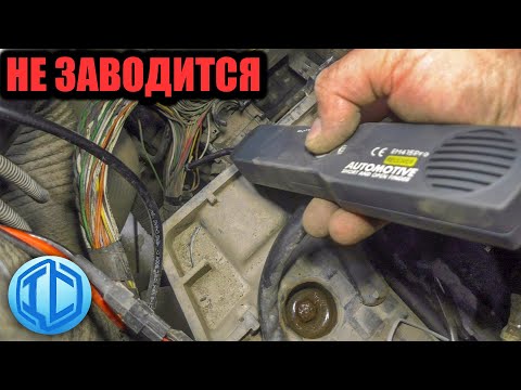 Видео: Renault Master не заводится!