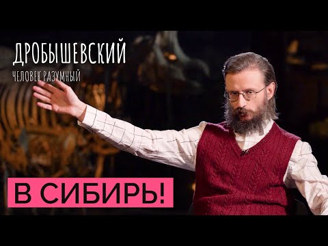 Видео: Как древние заселяли Сибирь // Дробышевский. Человек разумный