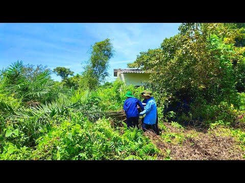 Видео: Старый дом, полный пыли, 12 лет – но воспоминания о маме всё ещё живы