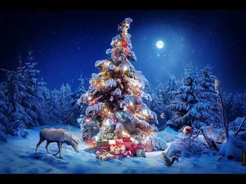 Видео: С.Т.Д.К. - Новогодняя