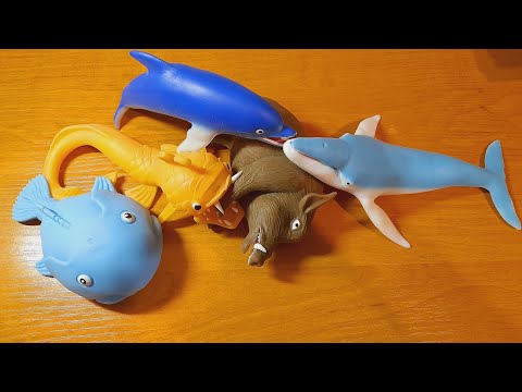 Видео: НОВЫЕ КОЛЛЕКЦИИ🦈🐋🐳🐬🦅🐗