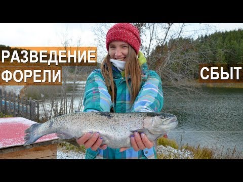 Видео: Фермерская форель РыбаLove. Выращивание и сбыт форели. Форель на гриле