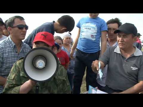 Видео: Тай аулында Жеңіс күніне өткізілген ,гир көтеру,арқан тарту,бәйге жарысы
