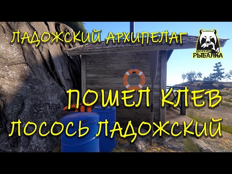 Видео: Русская рыбалка 4. рр4. Ладожский архипелаг. Лосось ладожский.