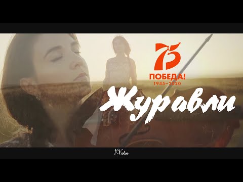 Видео: 1Violin | Журавли (Р. Гамзатов, Я. Френкель)