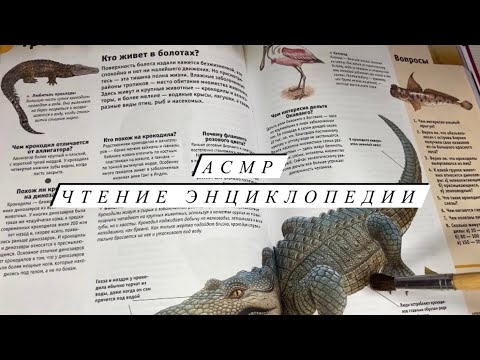 Видео: АСМР | Чтение энциклопедии ASMR | Шелест страниц | Кисточка | Близкий шепот